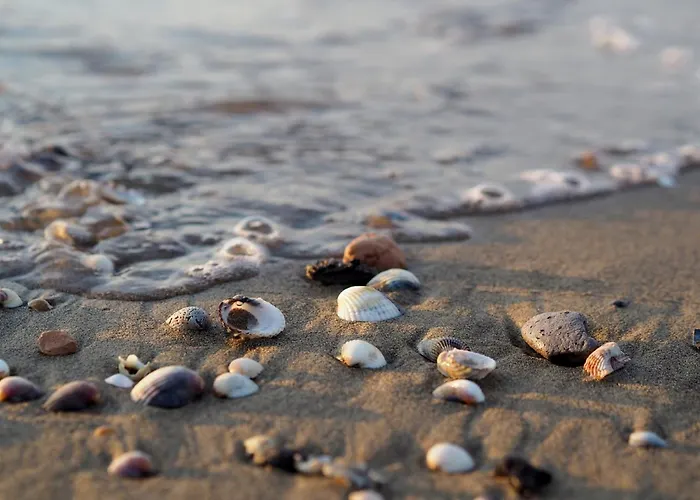 Charming Flat With A Big Terrace Apartman *